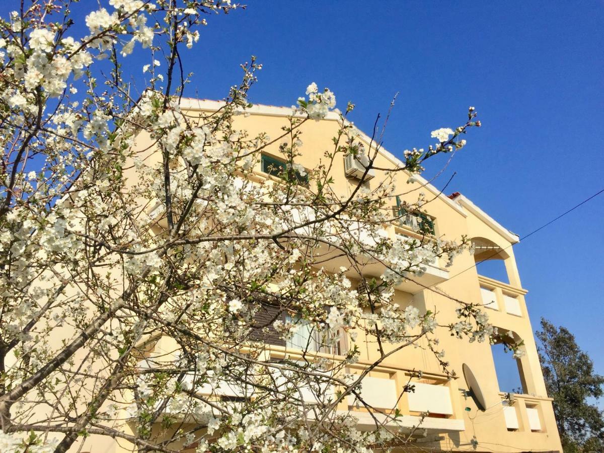 Apartmani Bosiljka Nin Eksteriør billede